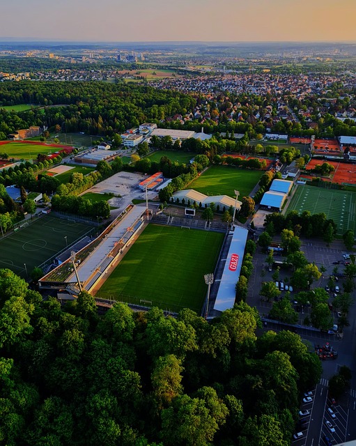 色发挥的重 色发挥的重