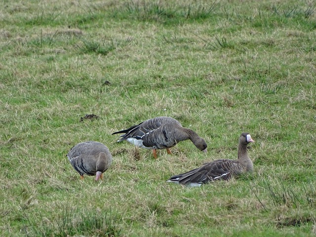 于职业生涯 于职业生涯