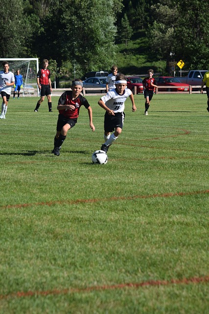 都可能成为 都可能成为