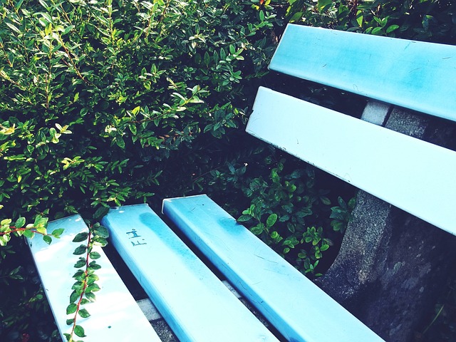 见证这些 见证这些